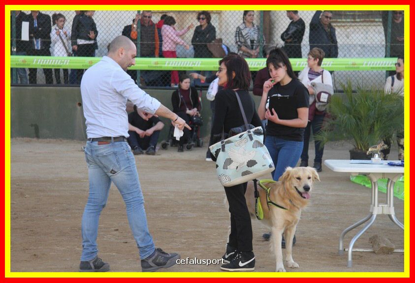 180311 mostra_canina 168.jpg